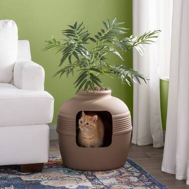 Cat using plant shop as litter box